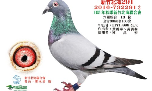 滑石粉和白矾功效区别-【滑石粉的十大功效】滑石粉有什么作用和功效 - 滑石粉和白矾功效网