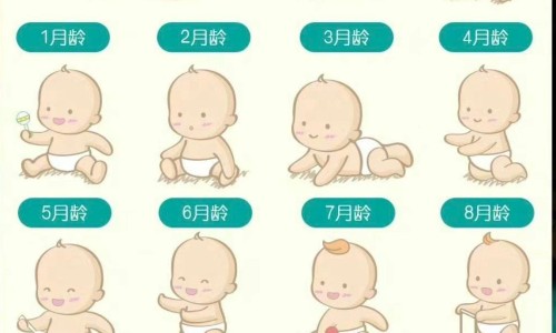 滑石粉白矾冰片-【滑石粉的十大功效】滑石粉有什么作用和功效 - 滑石粉和白矾功效网
